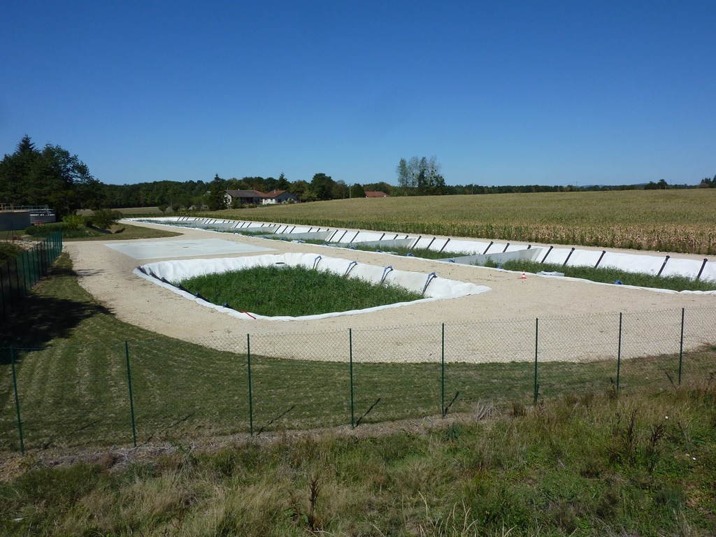 filtre-plante-de-roseaux