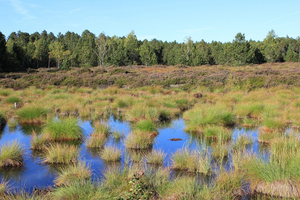 pertes-de-la-calserine